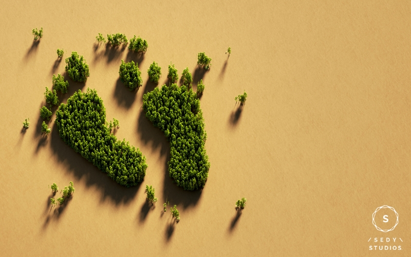 Carbon Footprint