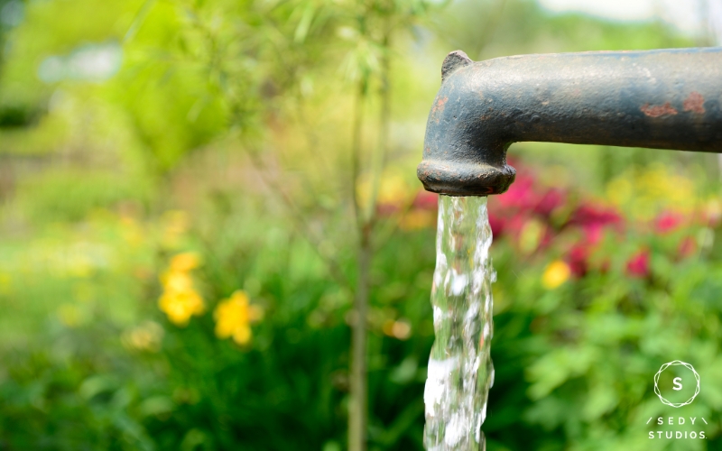 Water Consumption